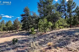 Lot 5124 Arikara Trail, Hartsel, CO 80449 - Photo 1