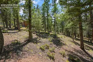 145 Grizzley Peak Rd, Florissant, CO 80816 - Photo 49