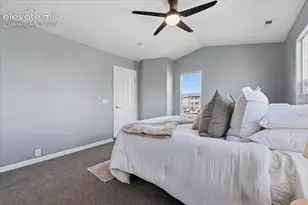 996 Burning Bush Point, Monument, CO 80132 - Photo 17