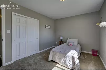 7443 Franconia Drive, Fountain, CO 80817 - Photo 29