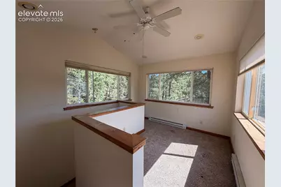 124 Trout Creek Drive, Divide, CO 80814 - Photo 21