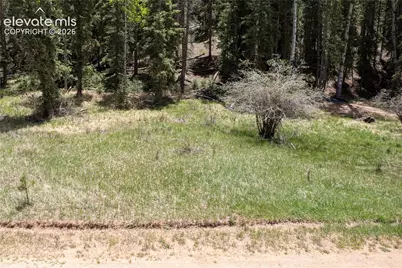 546 Spring Valley Lane, Florissant, CO 80816 - Photo 15