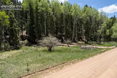 546 Spring Valley Lane, Florissant, CO 80816 - Photo 17