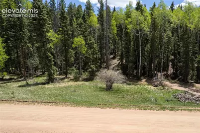 546 Spring Valley Lane, Florissant, CO 80816 - Photo 13