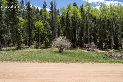 546 Spring Valley Lane, Florissant, CO 80816 - Photo 1