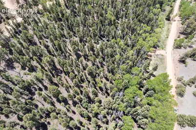546 Spring Valley Lane, Florissant, CO 80816 - Photo 9