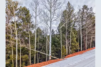 165 Witherite Drive, Divide, CO 80814 - Photo 3