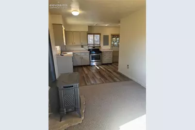 777 Wilson Drive, Florissant, CO 80816 - Photo 3