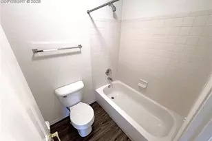1231 Villa Grove, Monument, CO 80132 - Photo 23