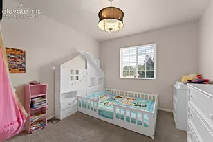 3011 Shikra View, Colorado Springs, CO 80916 - Photo 21