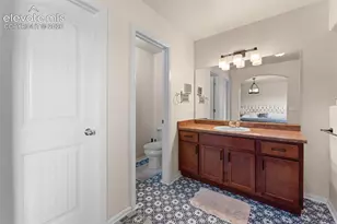 3011 Shikra View, Colorado Springs, CO 80916 - Photo 19