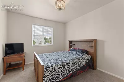 3011 Shikra View, Colorado Springs, CO 80916 - Photo 25