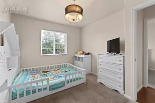 3011 Shikra View, Colorado Springs, CO 80916 - Photo 23