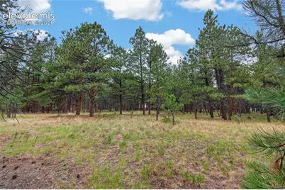 17695 Roller Coaster Road, Monument, CO 81032 - Photo 11