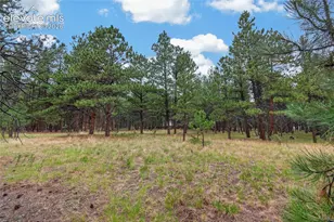 17695 Roller Coaster Rd, Monument, CO 81032 - Photo 11