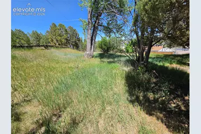 2750 McShane Drive, Monument, CO 80132 - Photo 17