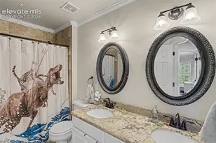 1360 Pawprint Ct, Colorado Springs, CO 80921 - Photo 45