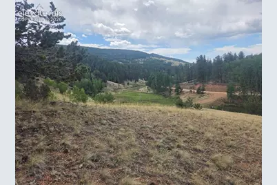 1124 Yorktown Road, Cripple Creek, CO 80813 - Photo 13