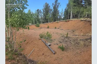1124 Yorktown Road, Cripple Creek, CO 80813 - Photo 7