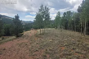 1124 Yorktown Rd, Cripple Creek, CO 80813 - Photo 1