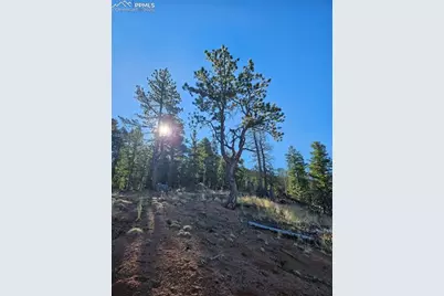 652 Derby Drive, Cripple Creek, CO 80813 - Photo 23