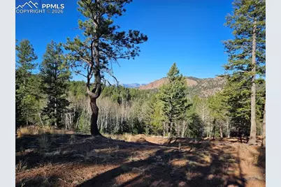 652 Derby Drive, Cripple Creek, CO 80813 - Photo 29
