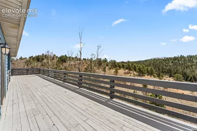 3543 Blue Mesa Drive, Divide, CO 80814 - Photo 33