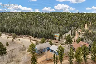 3543 Blue Mesa Dr, Divide, CO 80814 - Photo 37