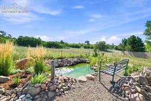 1097 Prickly Pear Pl, Colorado Springs, CO 80921 - Photo 21