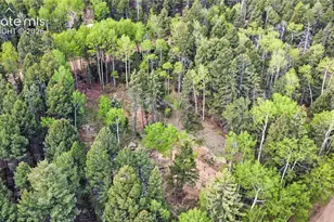 714 Will Stutley Dr, Divide, CO 80814 - Photo 1