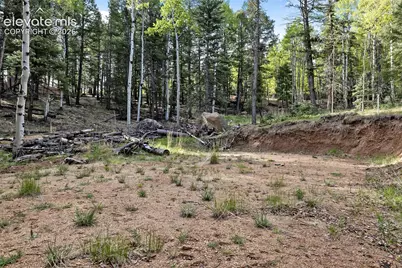 714 Will Stutley Drive, Divide, CO 80814 - Photo 5
