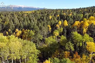 714 Will Stutley Dr, Divide, CO 80814 - Photo 1