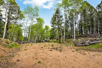 714 Will Stutley Drive, Divide, CO 80814 - Photo 3