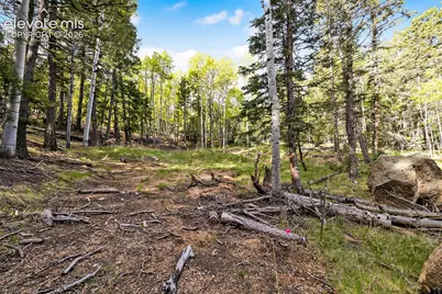714 Will Stutley Drive, Divide, CO 80814 - Photo 7