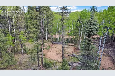 714 Will Stutley Drive, Divide, CO 80814 - Photo 23