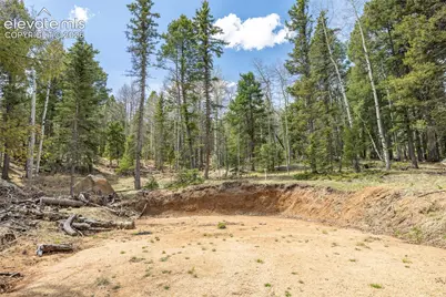 714 Will Stutley Drive, Divide, CO 80814 - Photo 25