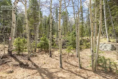 714 Will Stutley Drive, Divide, CO 80814 - Photo 27