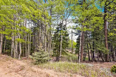 714 Will Stutley Drive, Divide, CO 80814 - Photo 17