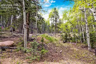 714 Will Stutley Dr, Divide, CO 80814 - Photo 1