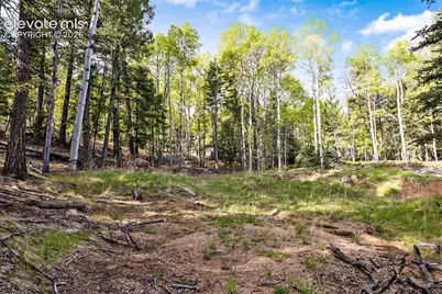 714 Will Stutley Drive, Divide, CO 80814 - Photo 9