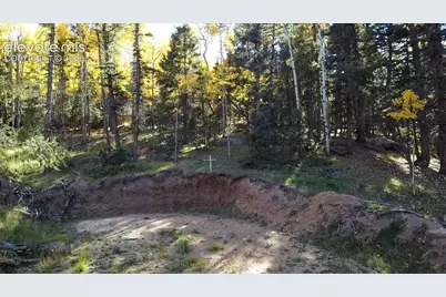 714 Will Stutley Drive, Divide, CO 80814 - Photo 7