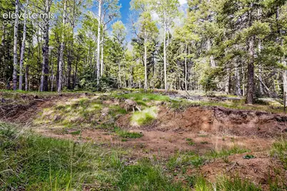 714 Will Stutley Drive, Divide, CO 80814 - Photo 11