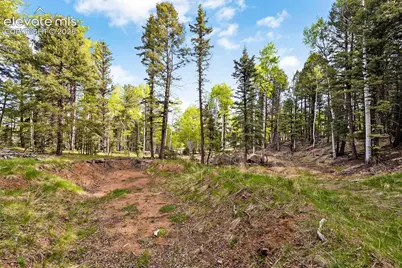 714 Will Stutley Drive, Divide, CO 80814 - Photo 13