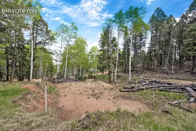 714 Will Stutley Drive, Divide, CO 80814 - Photo 15