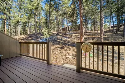 554 Manor Court #C, Woodland Park, CO 80863 - Photo 23