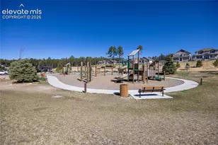 928 Graywoods Ter, Monument, CO 80132 - Photo 47