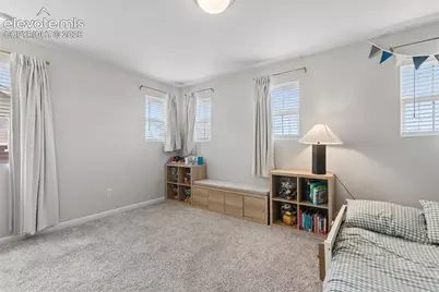 5329 Snowy Egret Grove, Colorado Springs, CO 80924 - Photo 29