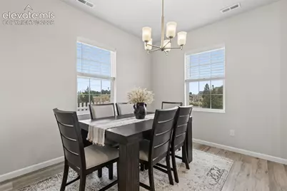 5329 Snowy Egret Grove, Colorado Springs, CO 80924 - Photo 11