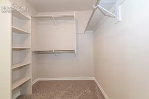 10103 Edgemont Ranch Ln, Colorado Springs, CO 80924 - Photo 29