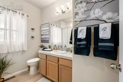 3902 Cordifolia Drive, Colorado Springs, CO 80925 - Photo 5